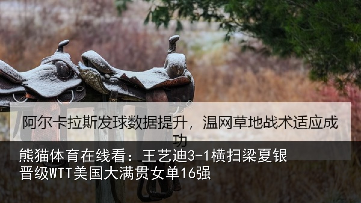 熊猫体育在线看:王艺相关情况WTT美国大满贯女单16强