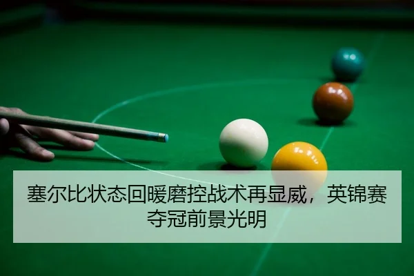 sai-er-bi-zhuang-tai-hui-nuan-mo-kong-zhan-shu-zai-xian-wei-ying-jin-sai-duo-guan-qian-jing-guang-ming-3-140.jpg