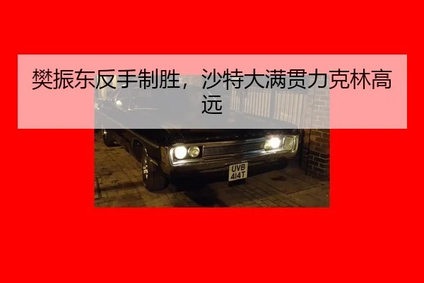 fan-zhen-dong-fan-shou-zhi-sheng-sha-te-da-man-guan-li-ke-lin-gao-yuan-3-844.jpg