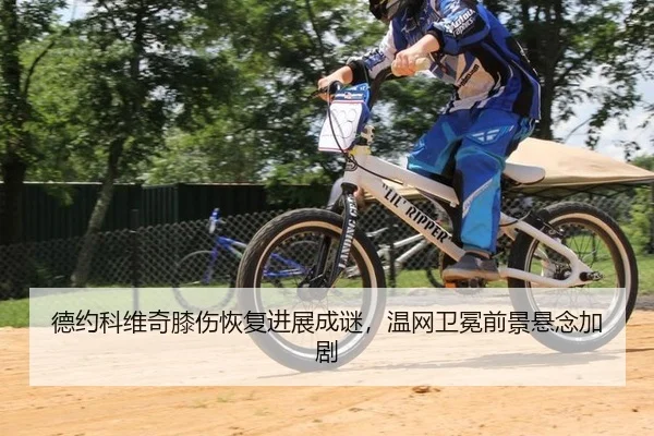 de-yue-ke-wei-qi-xi-shang-hui-fu-jin-zhan-cheng-mi-wen-wang-wei-mian-qian-jing-xuan-nian-jia-ju-2-486.jpg