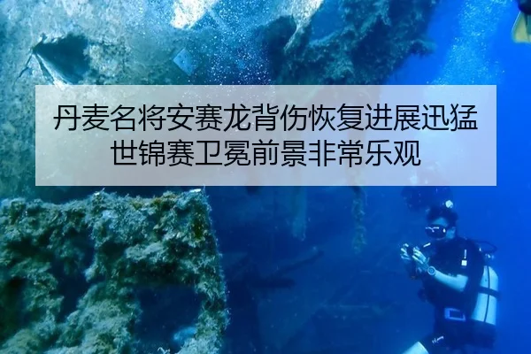 dan-mai-ming-jiang-an-sai-long-bei-shang-hui-fu-jin-zhan-xun-meng-shi-jin-sai-wei-mian-qian-jing-fei-chang-le-guan-3-113.jpg
