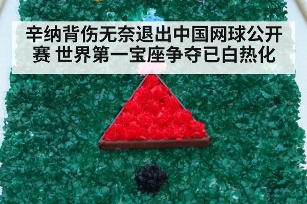 辛纳背伤无奈退出中国网球公开赛 世界第一宝座争夺已白热化