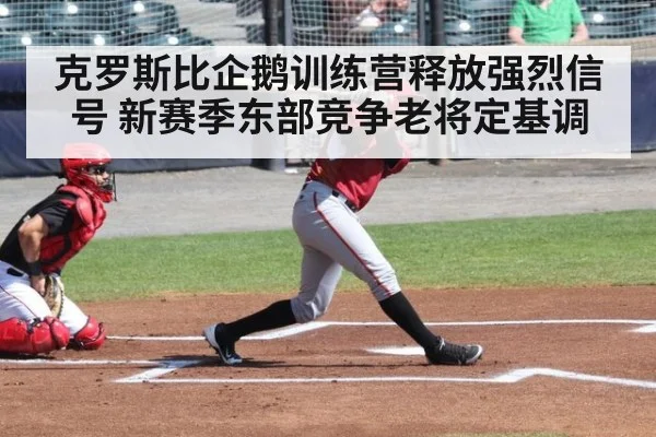克罗斯比企鹅训练营释放强烈信号 新赛季东部竞争老将定基调
